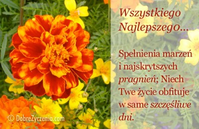 Wszystkiego Naj Najlepszego!!!!!!.jpg